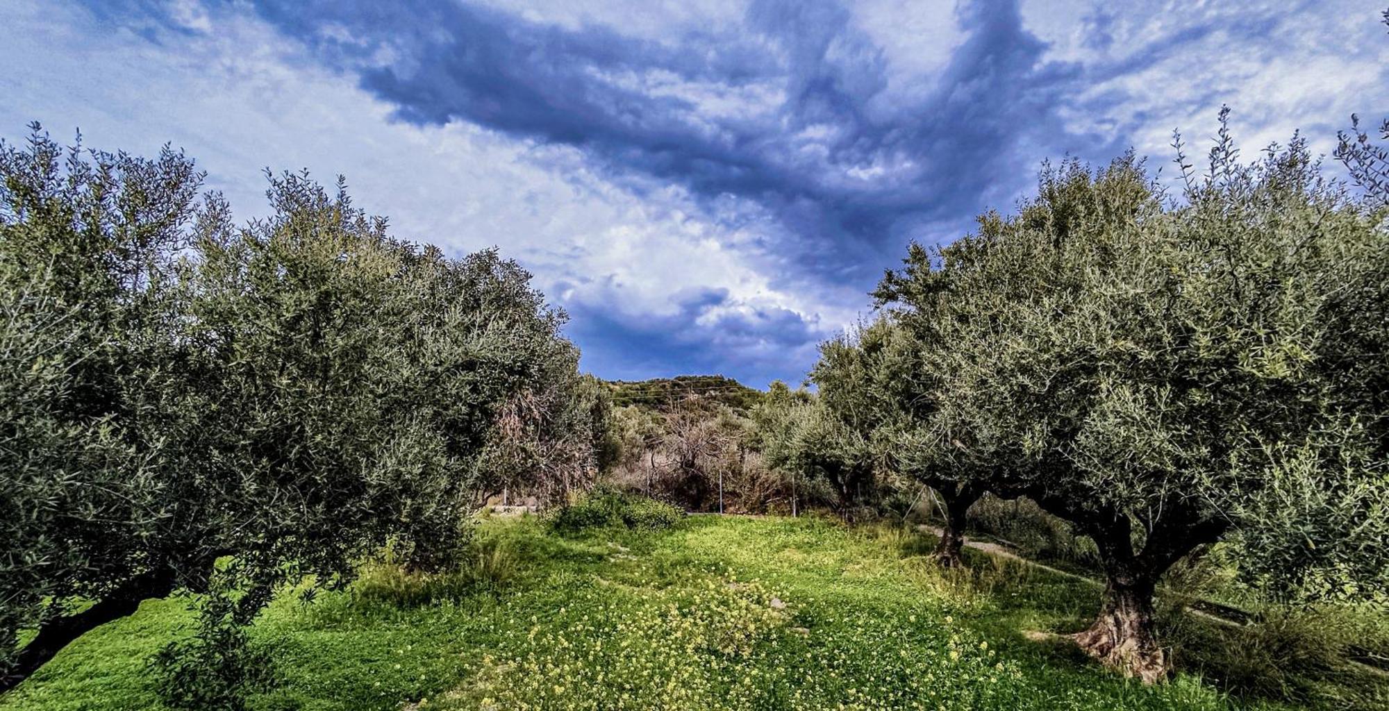 Your Spot West Peloponnese Shared Countryhouse Zaharo Dış mekan fotoğraf