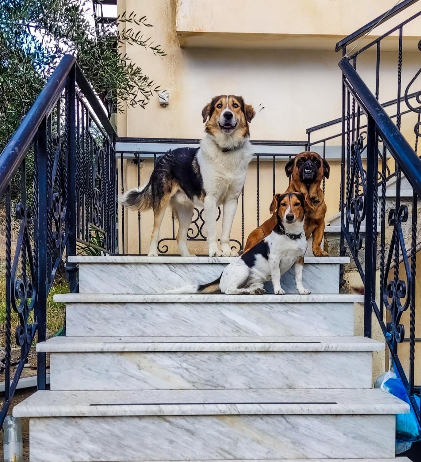 Your Spot West Peloponnese Shared Countryhouse Zaharo Dış mekan fotoğraf